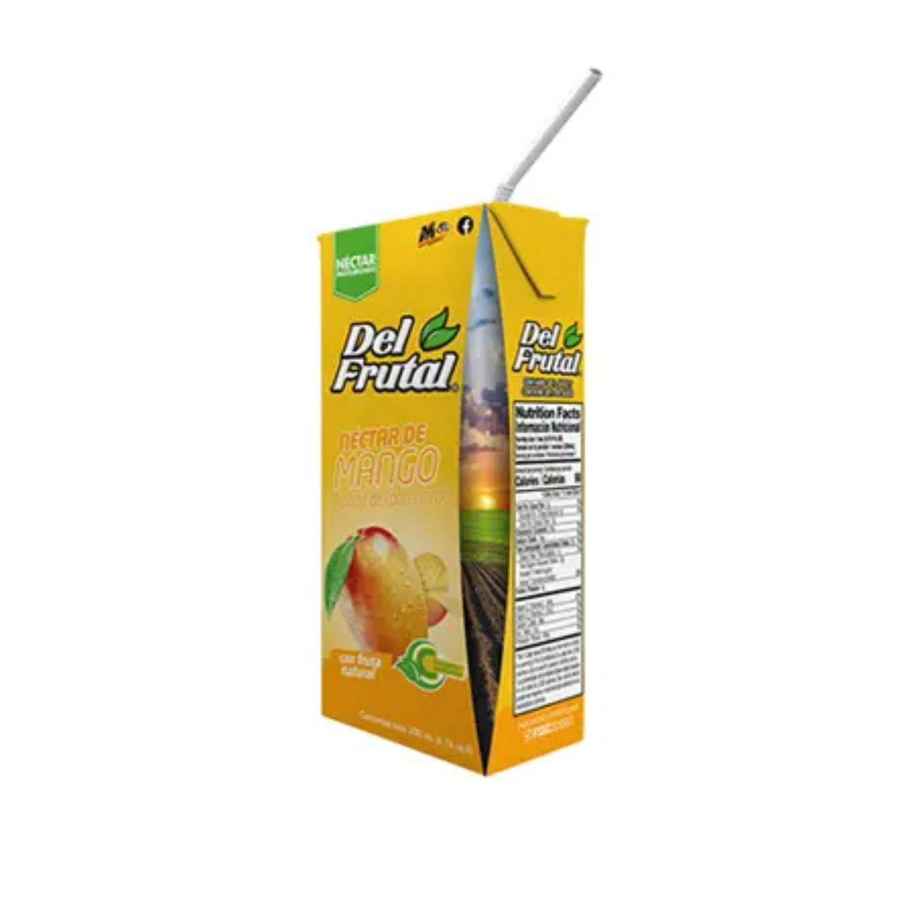 Del Frutal Tetra Mango 24/200 ML